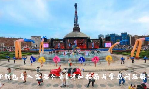 TP钱包导入需要什么？详细指南与常见问题解答