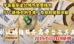 全面解析区块链服务商平台及其未来发展